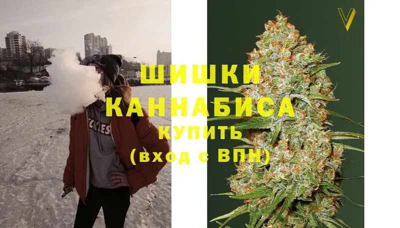 Конопля OG Kush  Вяземский 